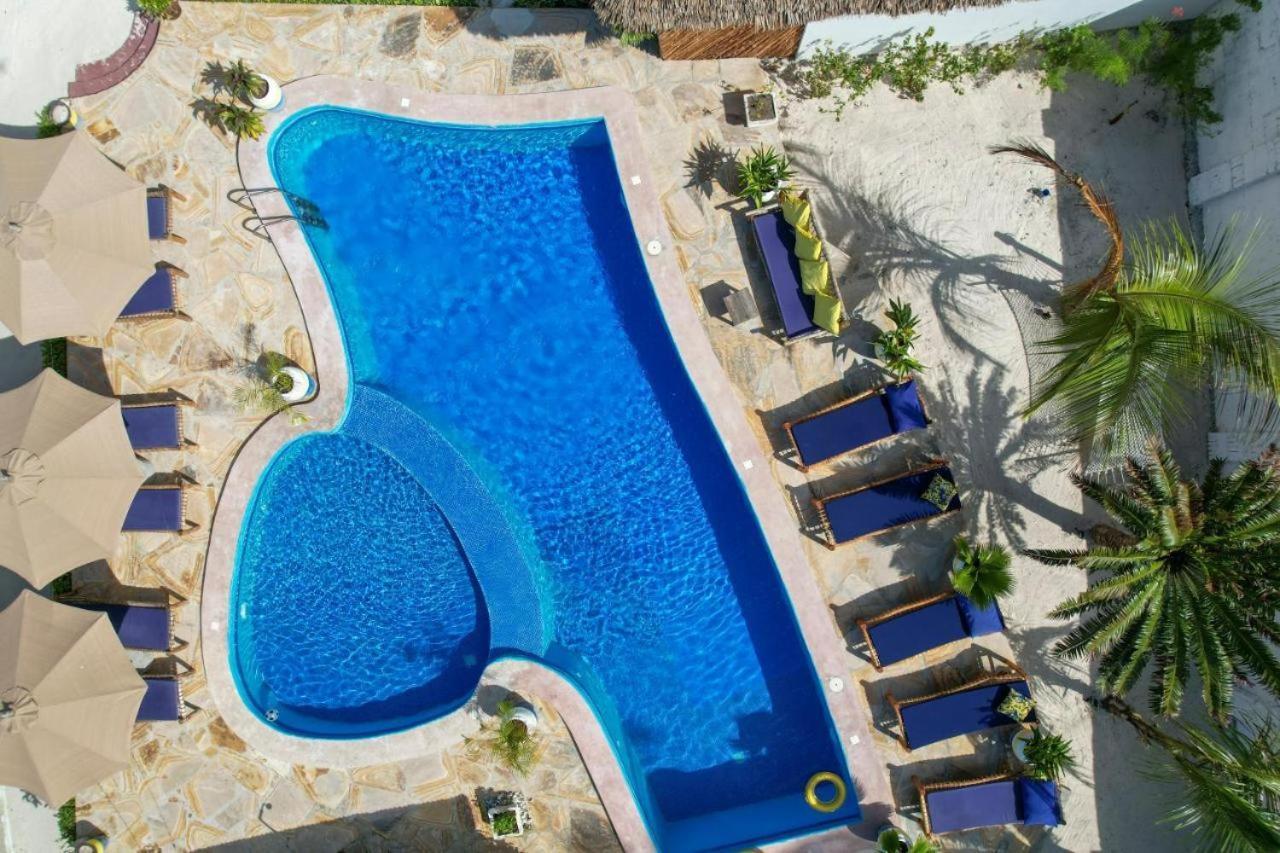 Amber Lodge Pongwe Dış mekan fotoğraf