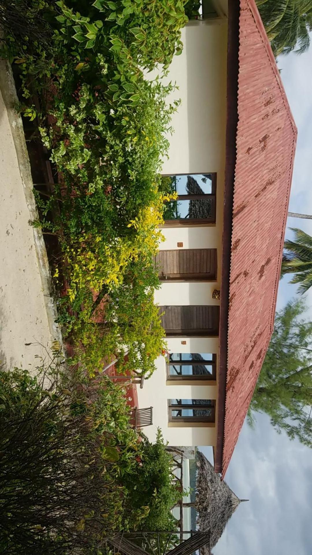 Amber Lodge Pongwe Dış mekan fotoğraf