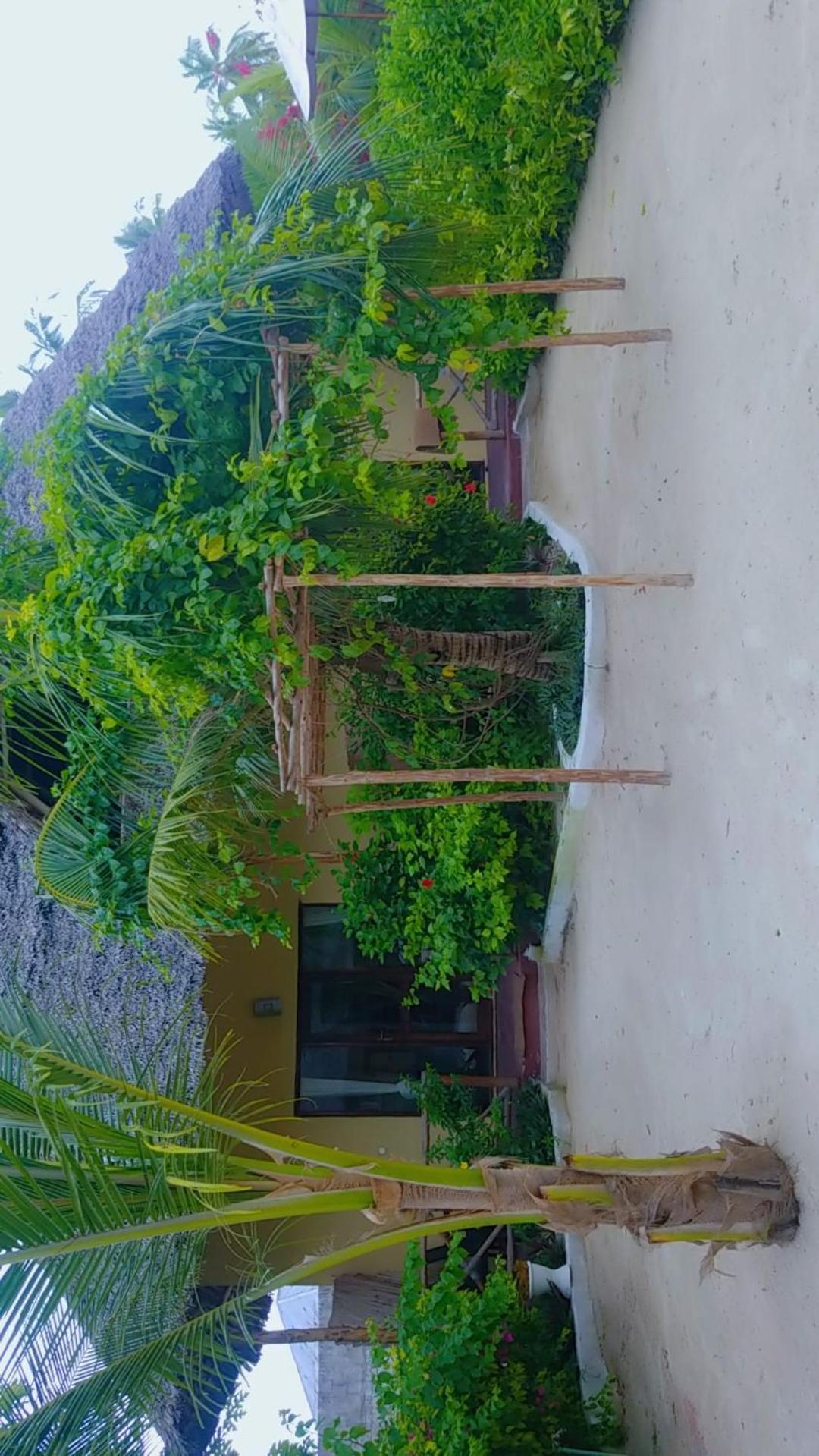 Amber Lodge Pongwe Dış mekan fotoğraf