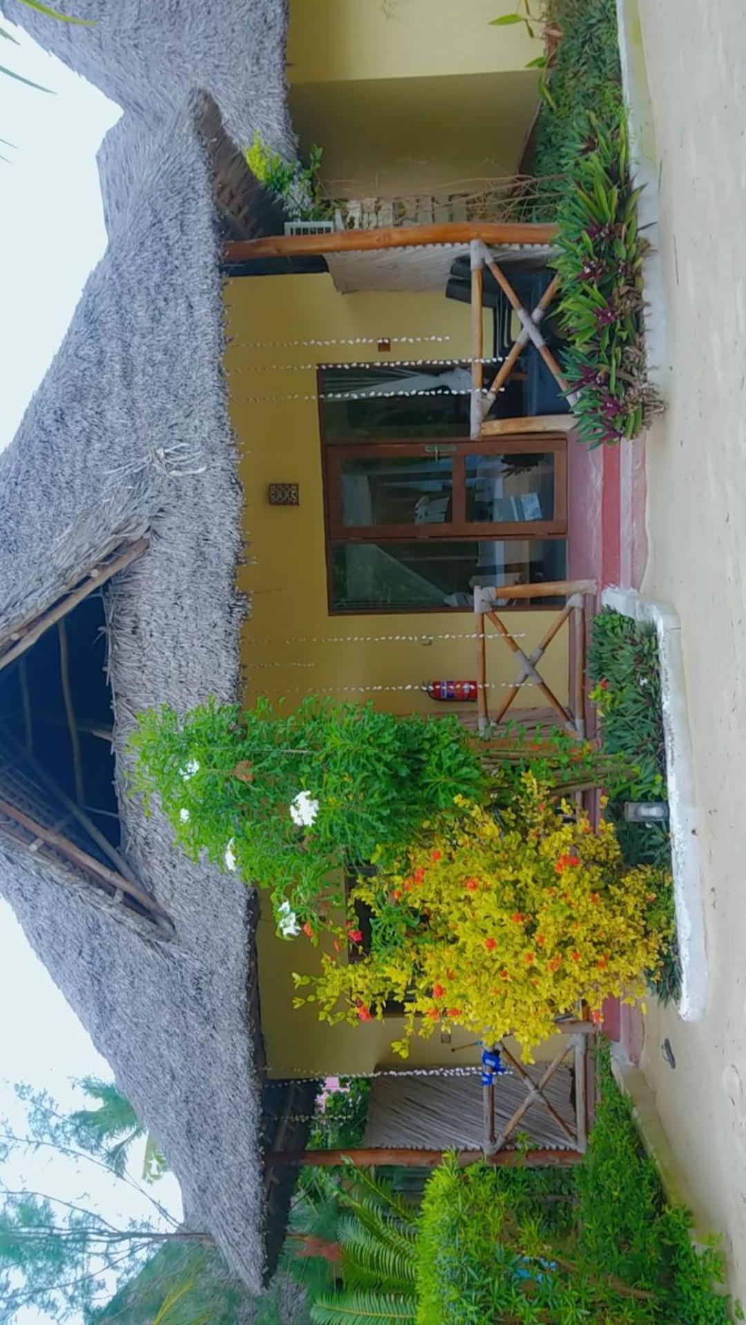 Amber Lodge Pongwe Dış mekan fotoğraf